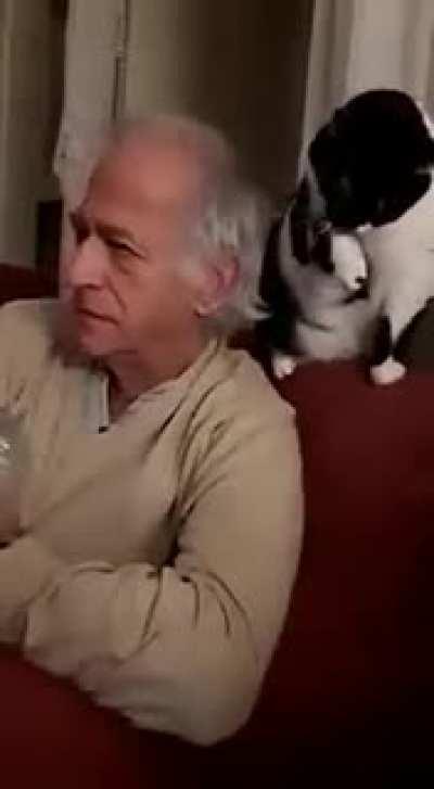 what? i am just here licking my paws. i don't know who did it