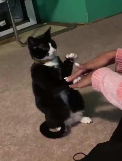 We go at my pace or we don’t play!