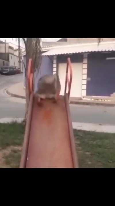 DoglaREDDIT - Video #0157