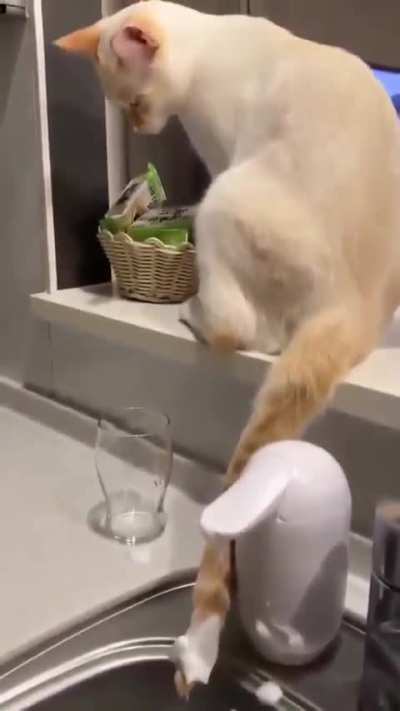 So that's where all the soap went!