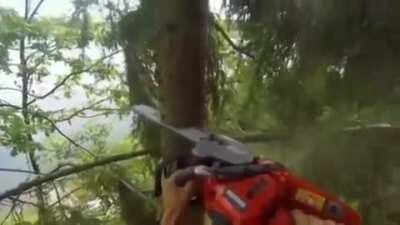 I cannot hold it in Anymore