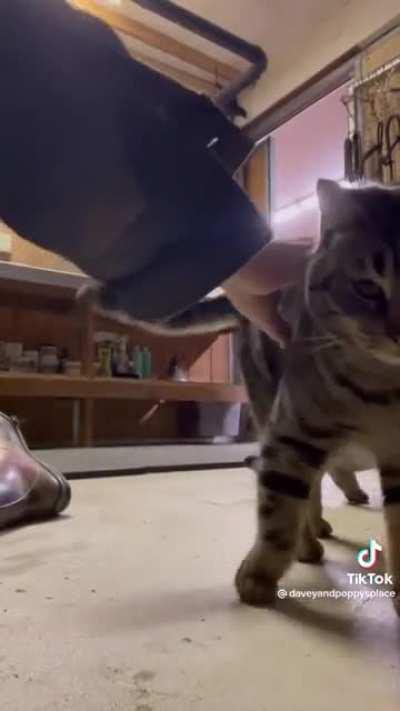 Her pops would have been so proud