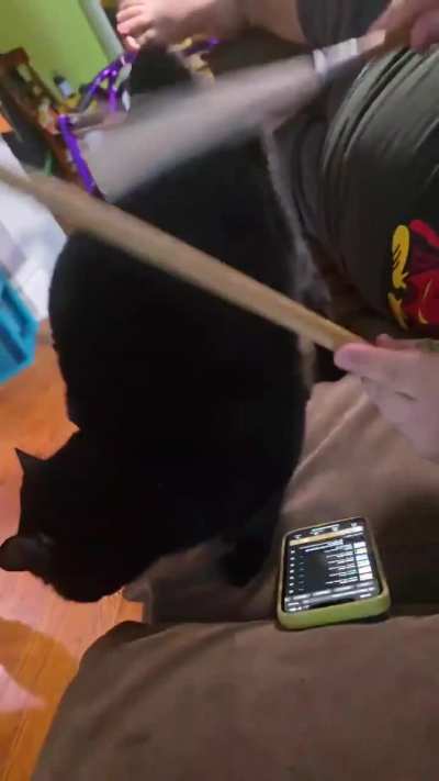 I almost completely a “wipeout!” Solo on Bear’s tuchus