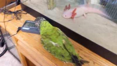 Both are curious, but about different things