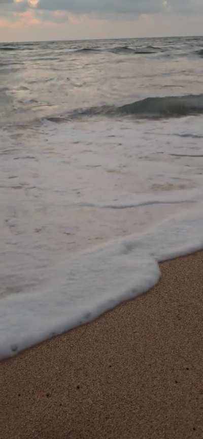 The urgency to meet the ocean