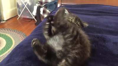 Testing out his claws on the phantom foot