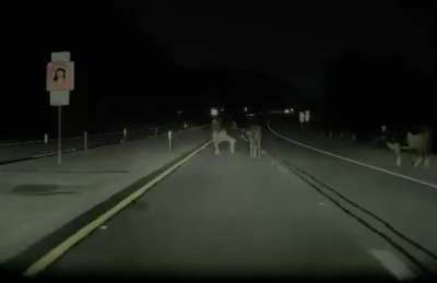 Utterly impressed. V13