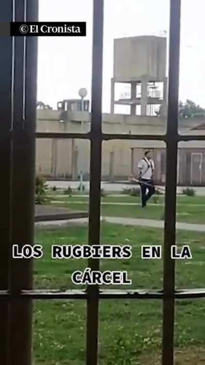 [RUGBIERS DE ZARATE] Presos graban a los rugbiers y se burlan⁠ ⁠“Ahí los tenés a los giles, cortando pasto los asesinos”, se escucha. Los 8 acusados se encuentran en la cárcel de Melchor Romero desde la finalización del juicio.⁠