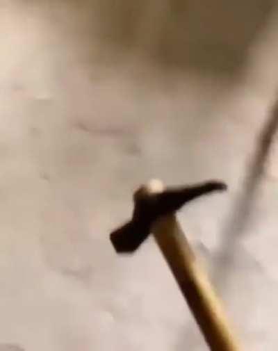 You guys like my woodworking?