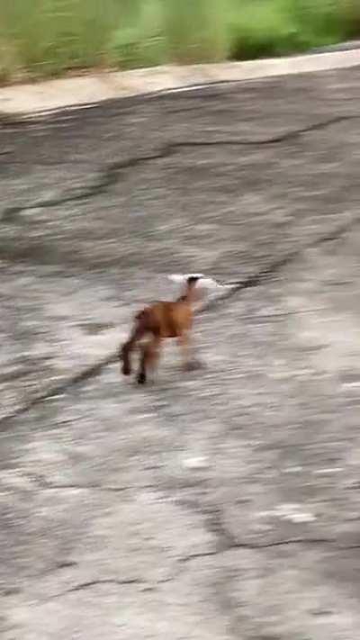 Thought this belonged here.