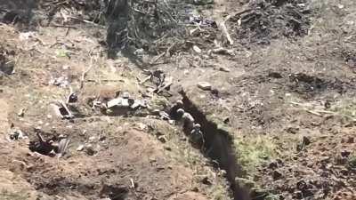 russian unit near Zaporozhye region getting picked apart by Ukranian drones 
