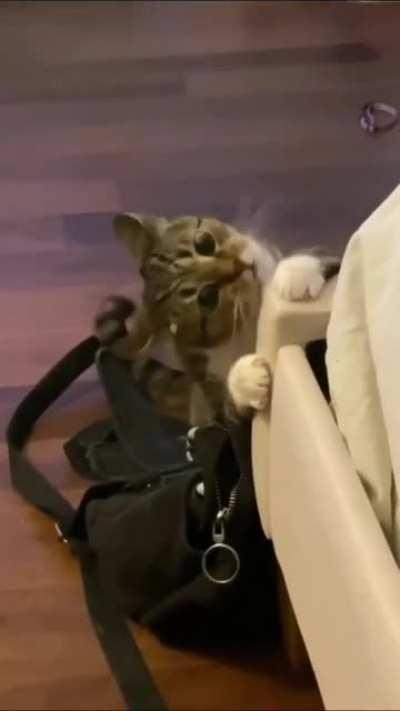 I Have Nothing To Do...!