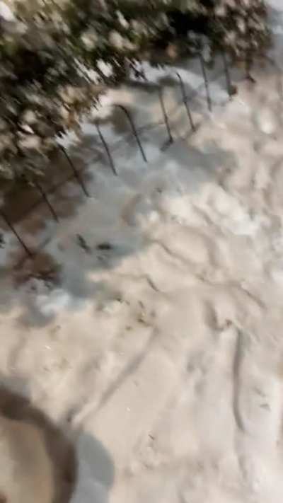 Had to post another snow binky of Toaster’s, as this is the best binky I have ever caught on camera!