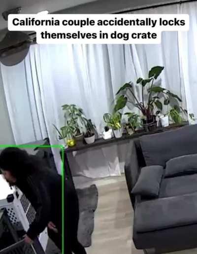 True souls mates. (Sound on)