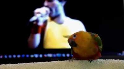 Little buddy feeling the beat