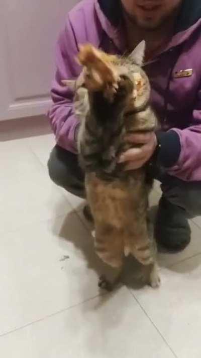 Have they ever fed him?