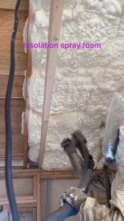 Диво дивное