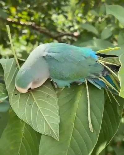 Looking this good is a lot of work.