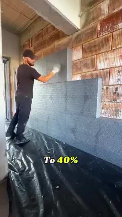 The Polar Bear Principle: How External Wall Insulation Mirrors Nature’s Design in Northern European Homes