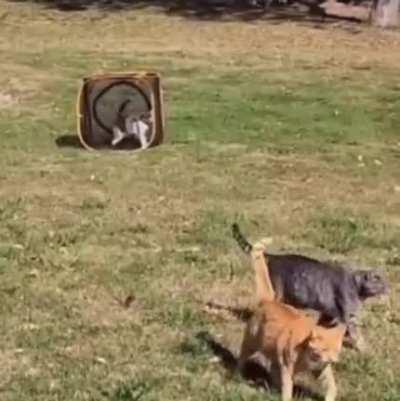 Cruisin’ In The New Whip