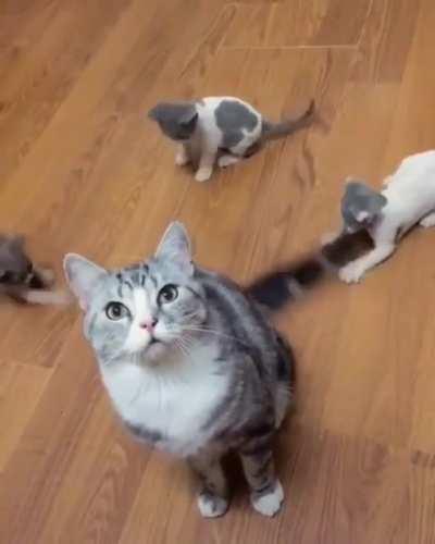 Best way to keep the young ones distracted