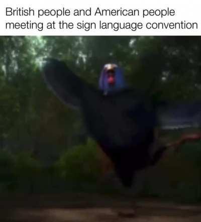 ☝️✋🤙👌🫱🫲👌🤙✋☝️