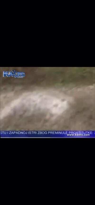 WCGW if I play the mandolin in a bear enclosure