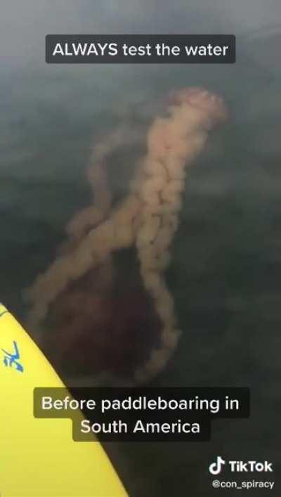 Hope you have good balance..