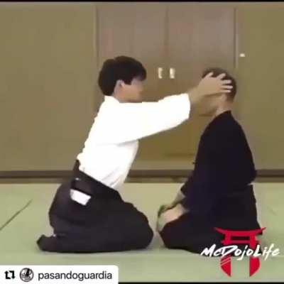 blursed_aikido