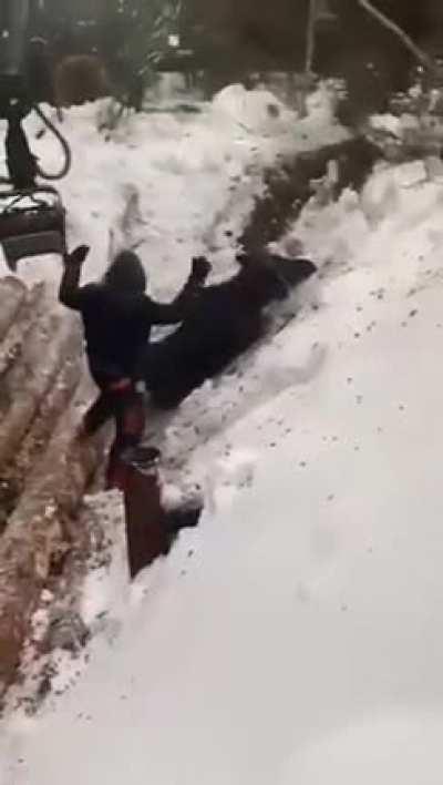 Loggers gently rescue exhausted moose using a claw crane