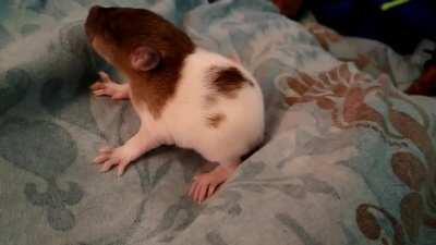 Learning to bathe 🥺