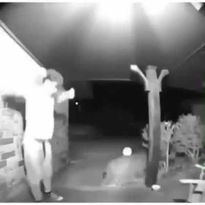 MoaiGreddit - Video #5324