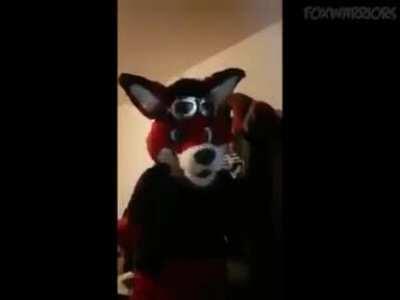 No busquen imágenes de como aúlla ☹ PD: El video del man del final es una escopeta airsoft.