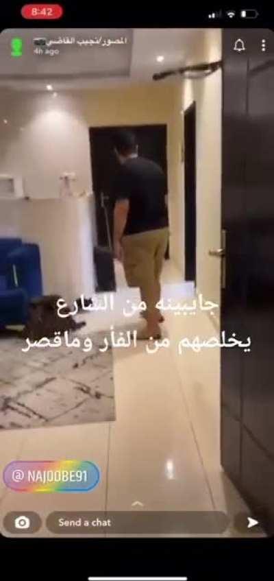 Guys bring a stray cat to help catch a rat