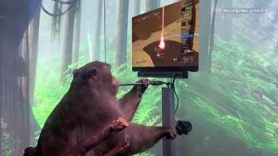 Monkey destroys ROR2 Any% WR with ease