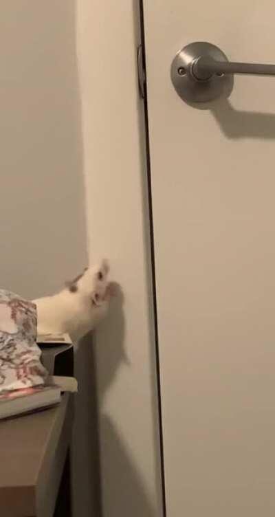 Not sure what I expected but it wasn’t this