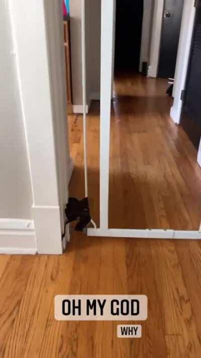 This definitely fits here