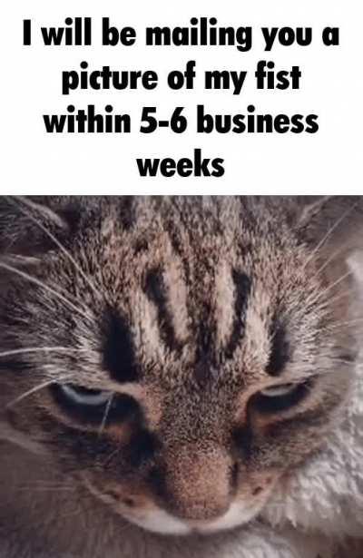 Came up with this while half asleep and sick and thought it was the funniest threat