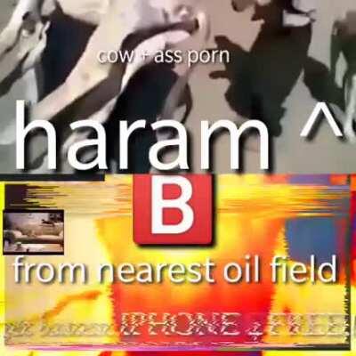 bebstemi didn'ty kill himself proof video. no pork