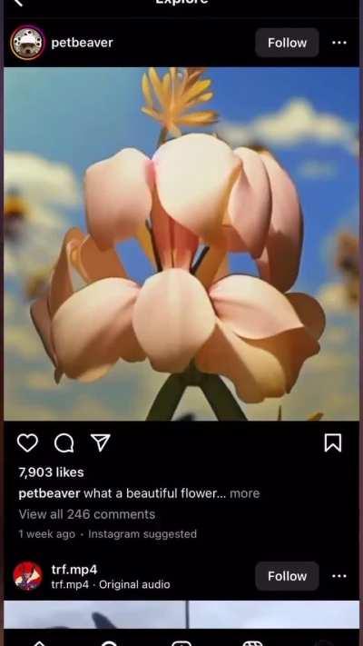 That's what I saw first 😧