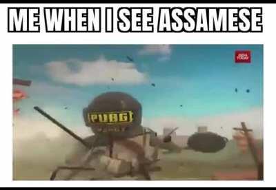 Cringe ass rhinos 🦏🦏