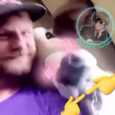 Espero que ele n tenha comido a vaca em nenhum sentido.