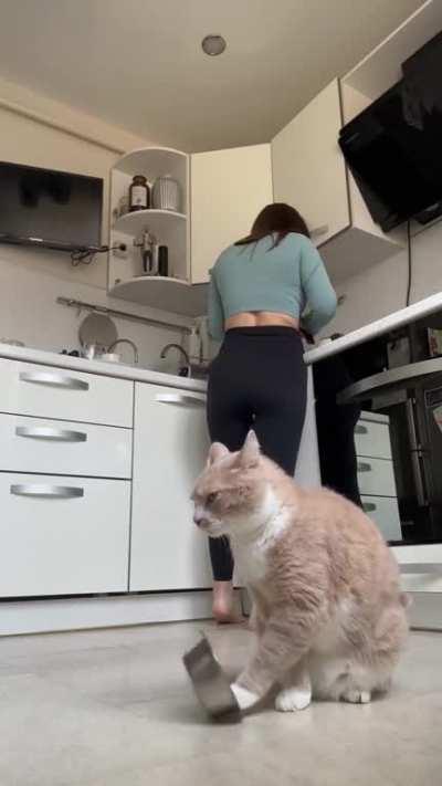 You are not you, when you are hungry...