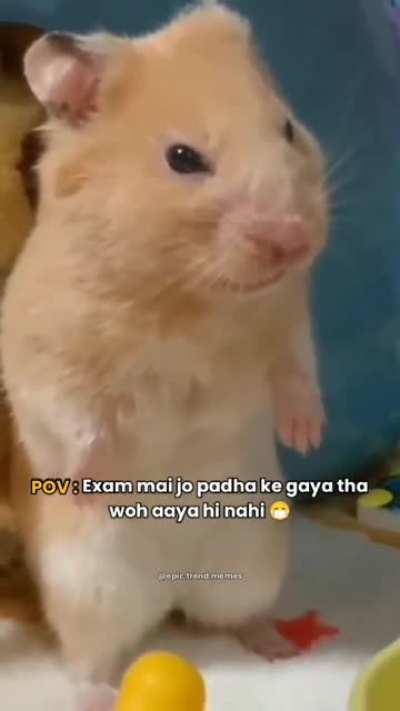 everyone's problem😔