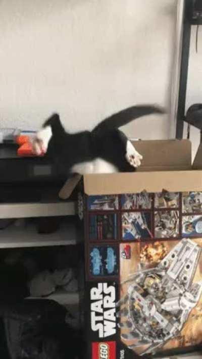 A little more, well, almost there.