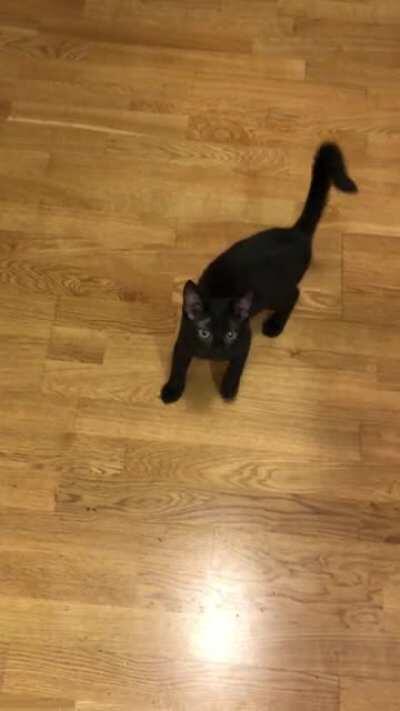 Lucia from Sweden is demanding food