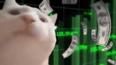 $AMC all night while we were sleeping... 🚀