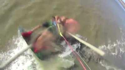 Heroic pit bull swim 5 miles out to sea to bite man. 