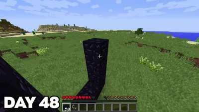 Fake Minecraft 100 Days Videos Be Like