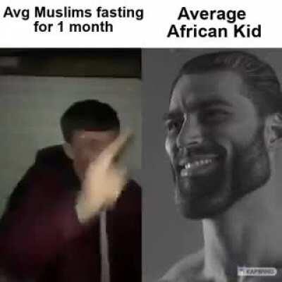 darkmemers - Video #5863